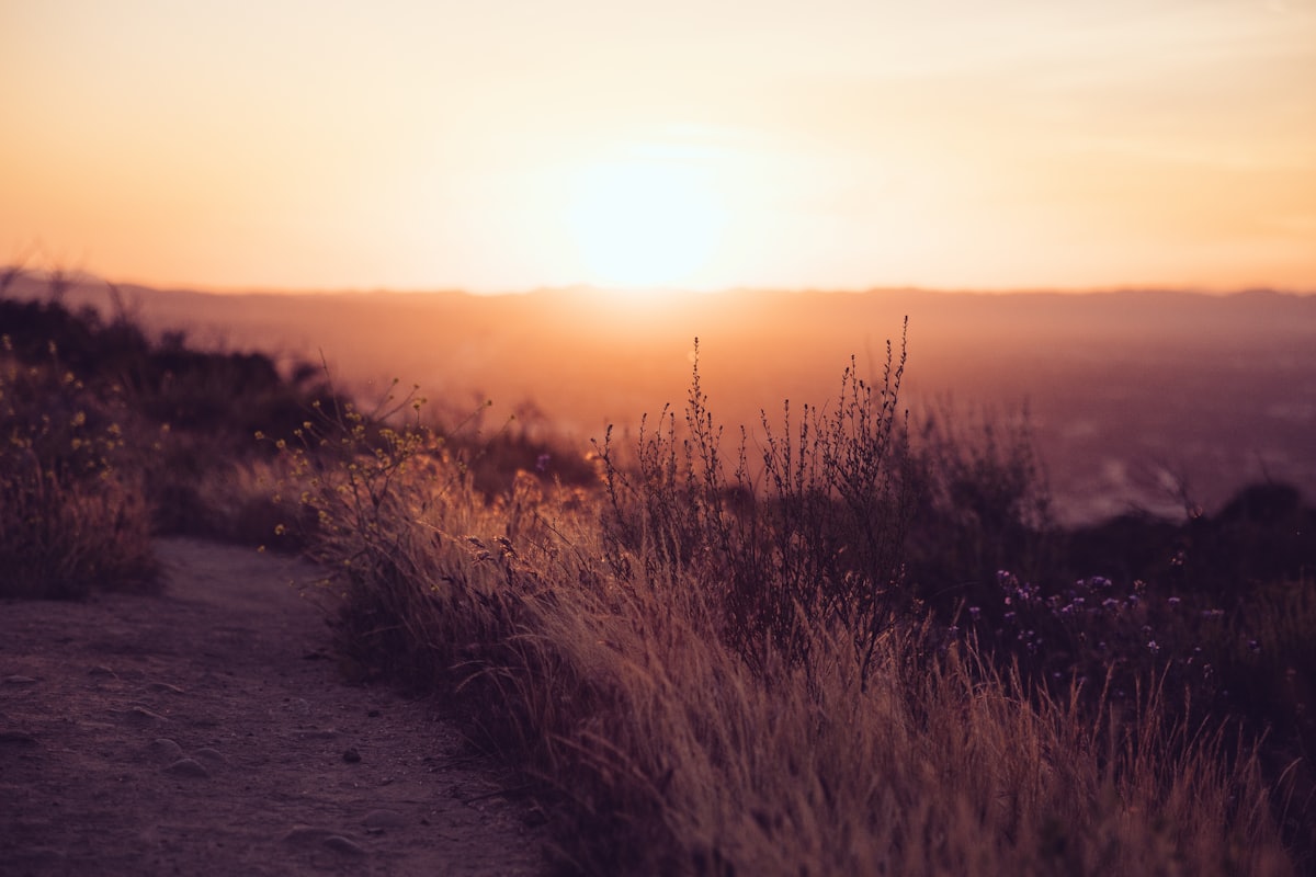 Getting to Treatment Safely: How Recovery Transport Works